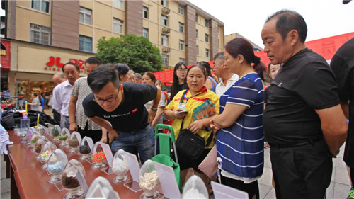 現(xiàn)場圖 陳加普攝_副本.jpg