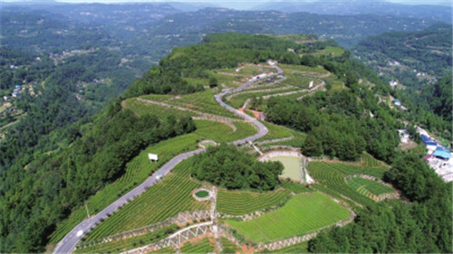 圖片11.jpg 圖片11.jpg