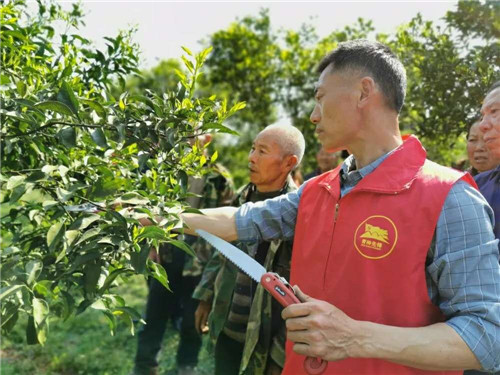 QQ圖片20200422113832.jpg QQ圖片20200422113832.jpg