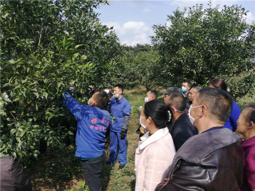 微信圖片_20200422114535.jpg 微信圖片_20200422114535.jpg