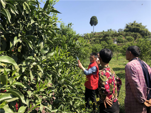 微信圖片_20200422114608.jpg 微信圖片_20200422114608.jpg