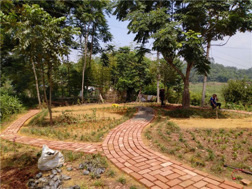 微信圖片_20200804145604.jpg 微信圖片_20200804145604.jpg