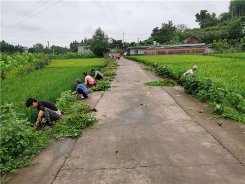 微信圖片_20200804145619.jpg 微信圖片_20200804145619.jpg