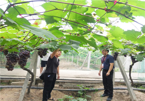 圖片1.jpg 圖片1.jpg