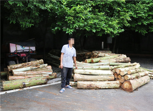 于某指認(rèn)被砍伐的林木.jpg 于某指認(rèn)被砍伐的林木.jpg